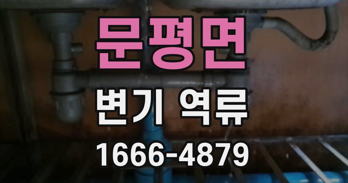 문평면 변기 역류