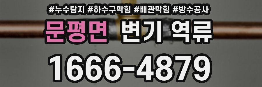 문평면 변기 역류