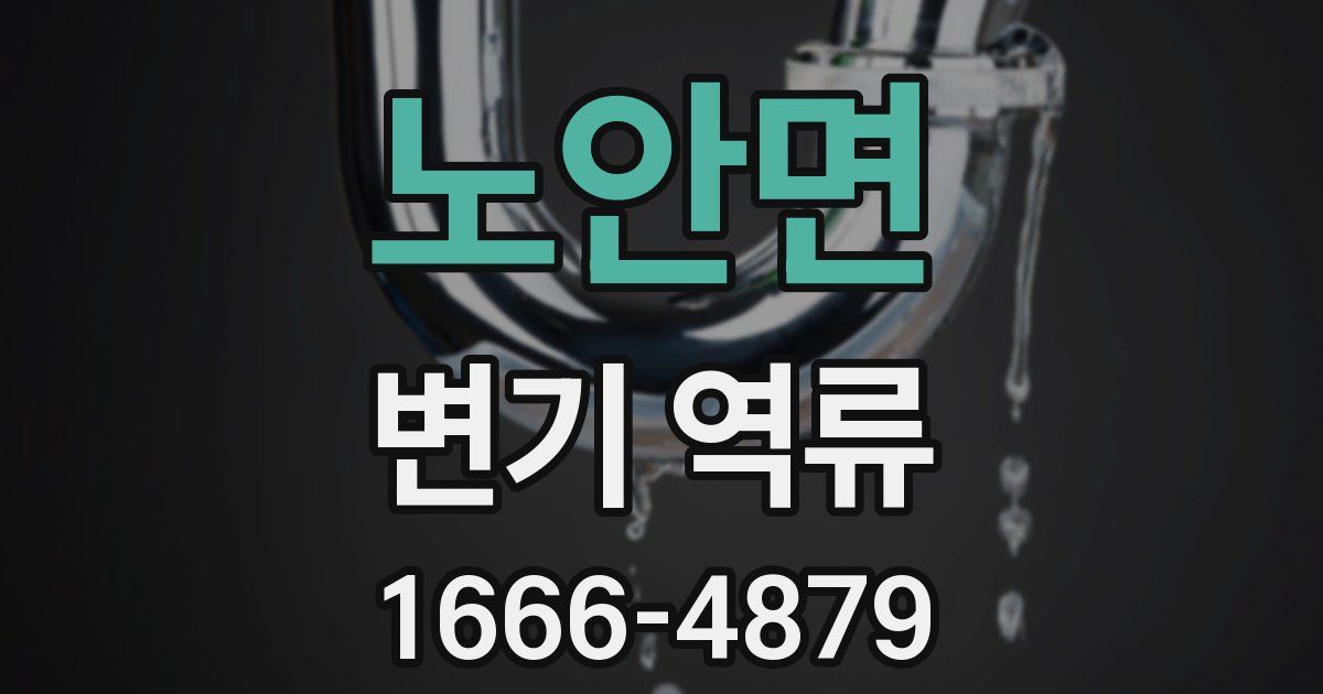 노안면 변기 역류