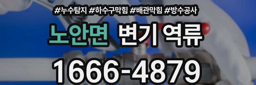 노안면 변기 역류