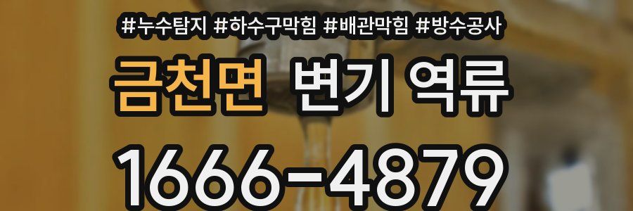 금천면 변기 역류
