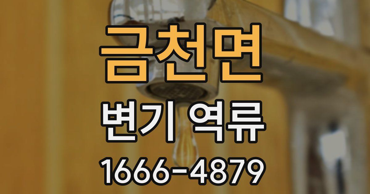 금천면 변기 역류