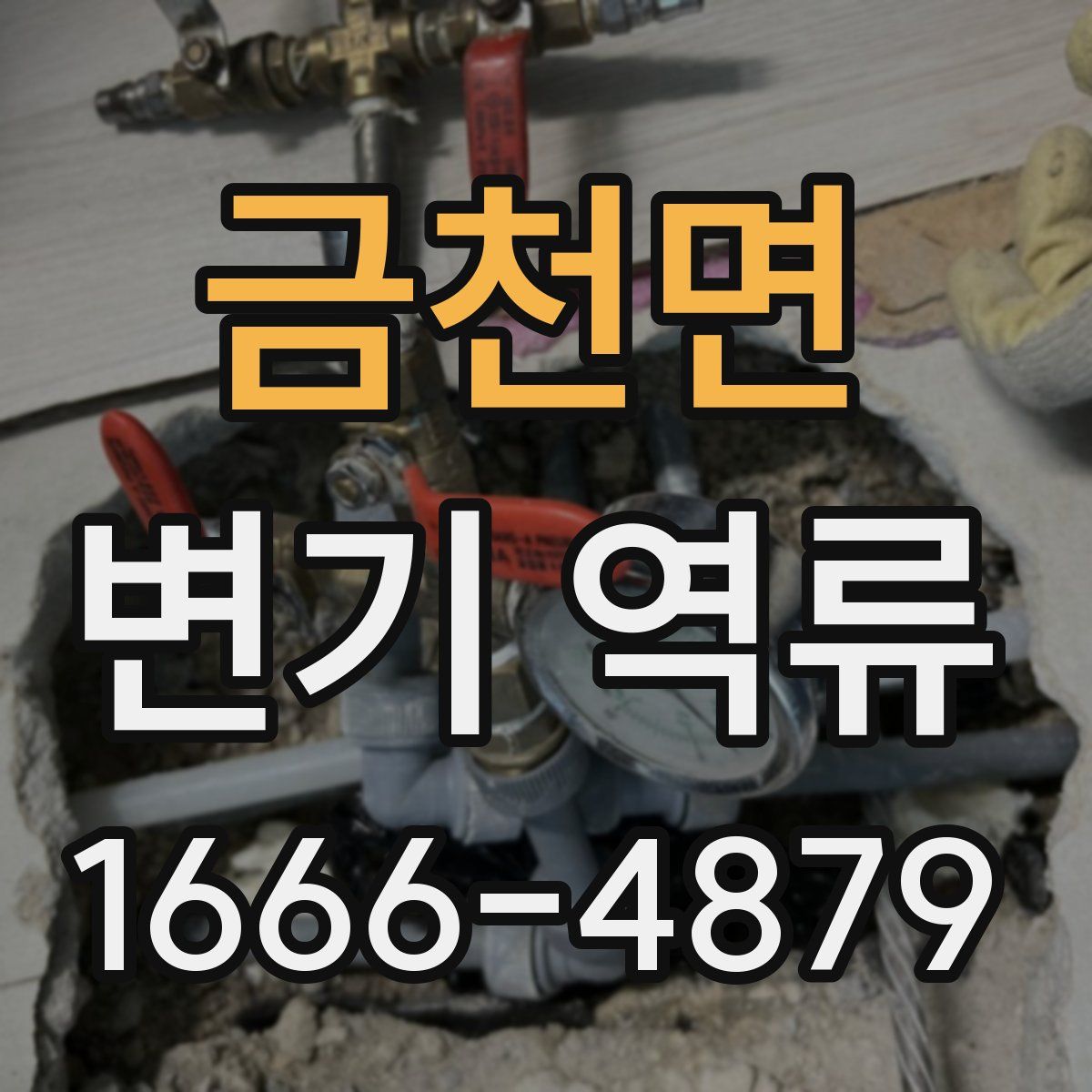 금천면 변기 역류