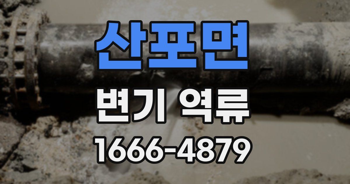 산포면 변기 역류