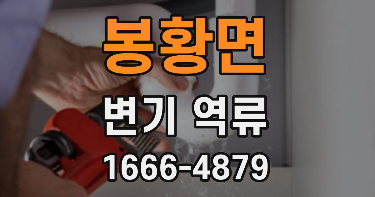 봉황면 변기 역류