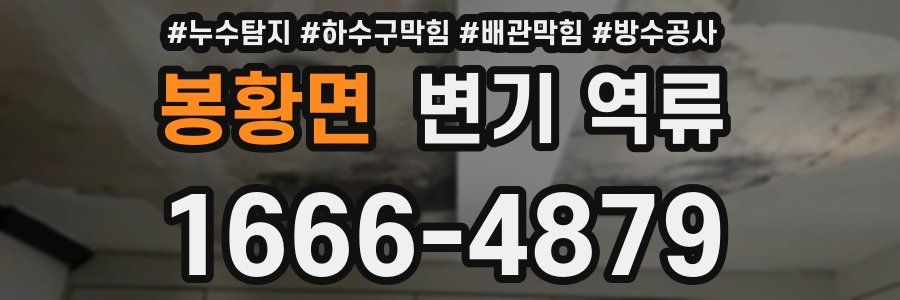 봉황면 변기 역류