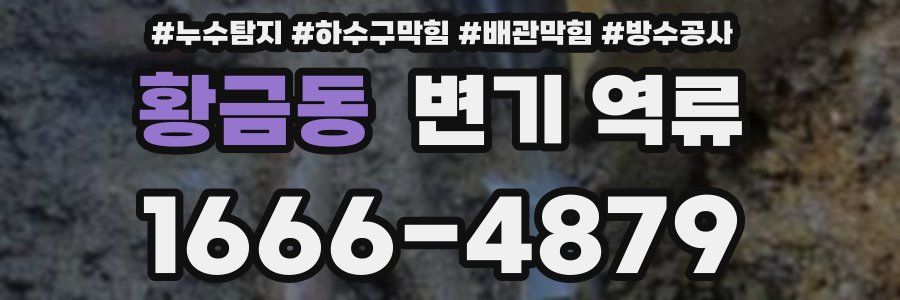 황금동 변기 역류