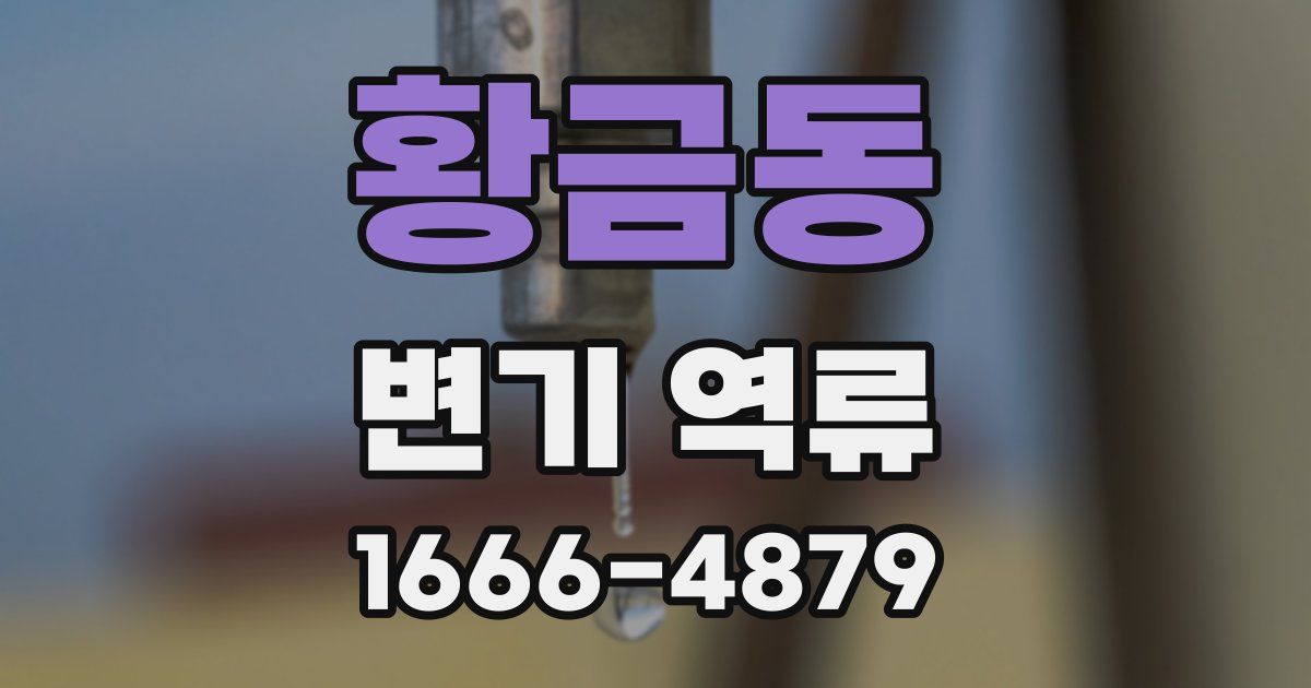 황금동 변기 역류