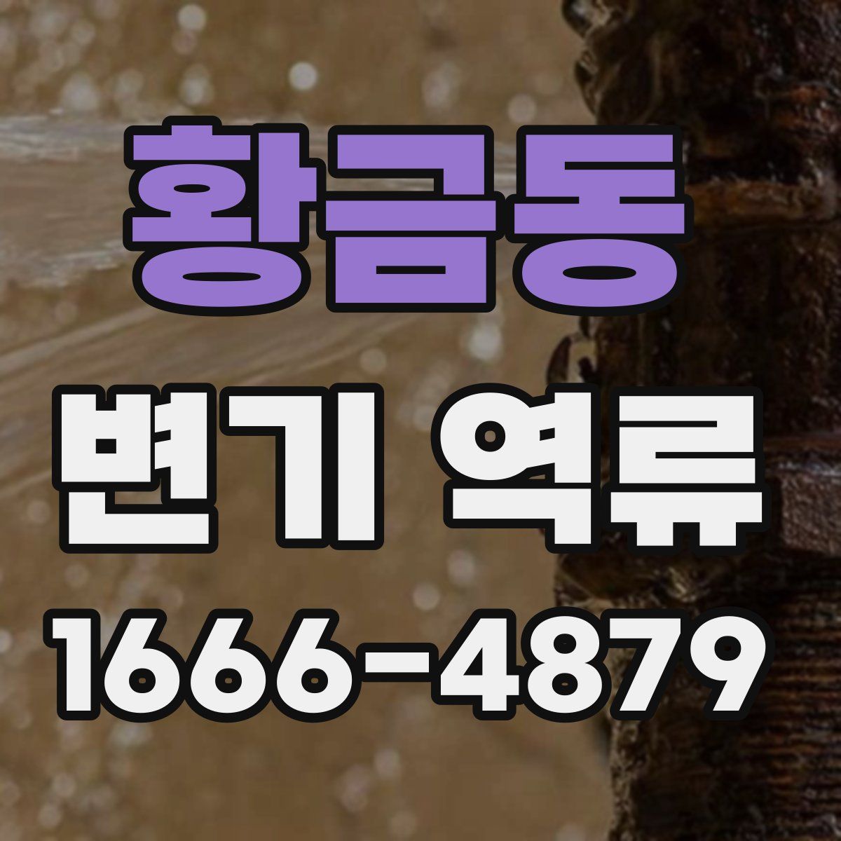 황금동 변기 역류