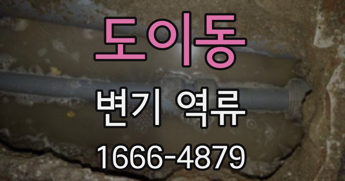 도이동 변기 역류
