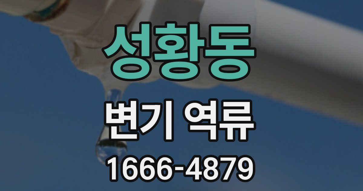 성황동 변기 역류