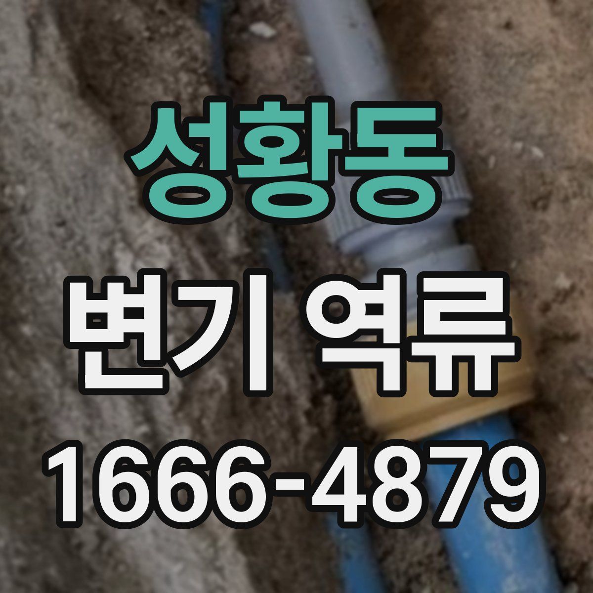 성황동 변기 역류