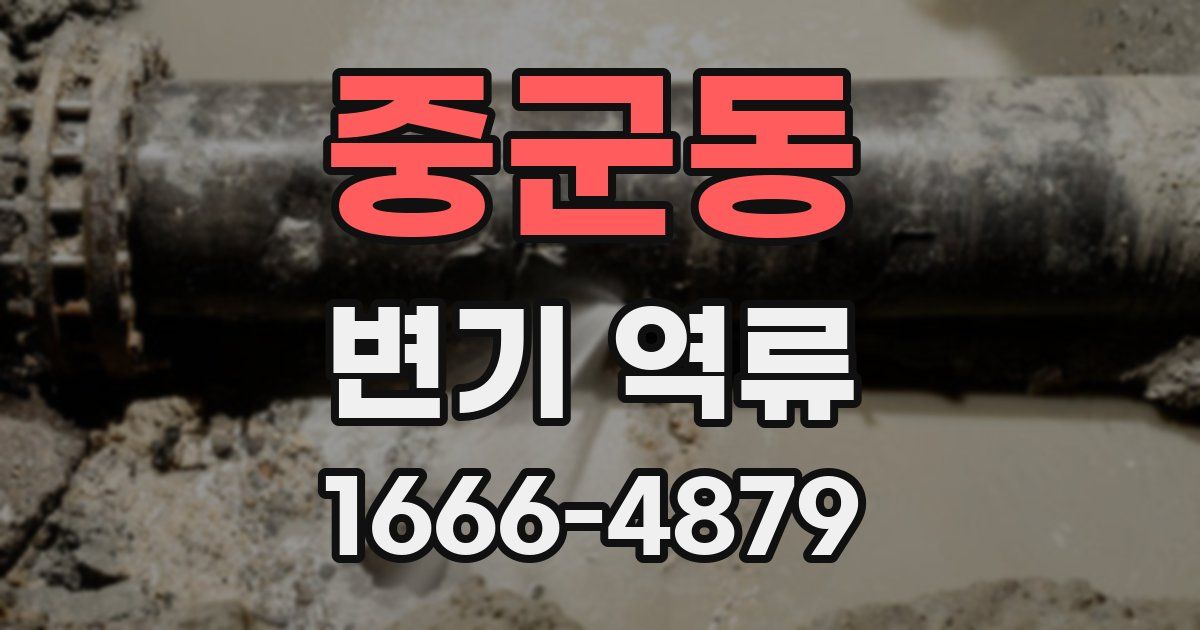 중군동 변기 역류