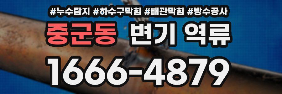 중군동 변기 역류