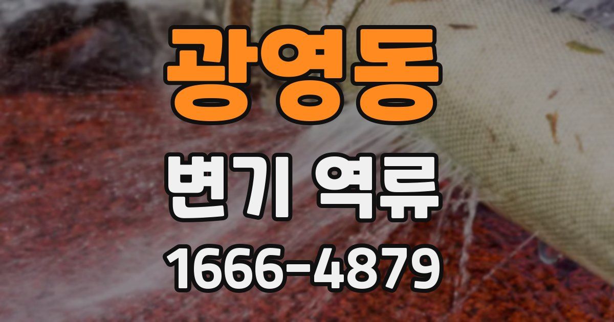 광영동 변기 역류