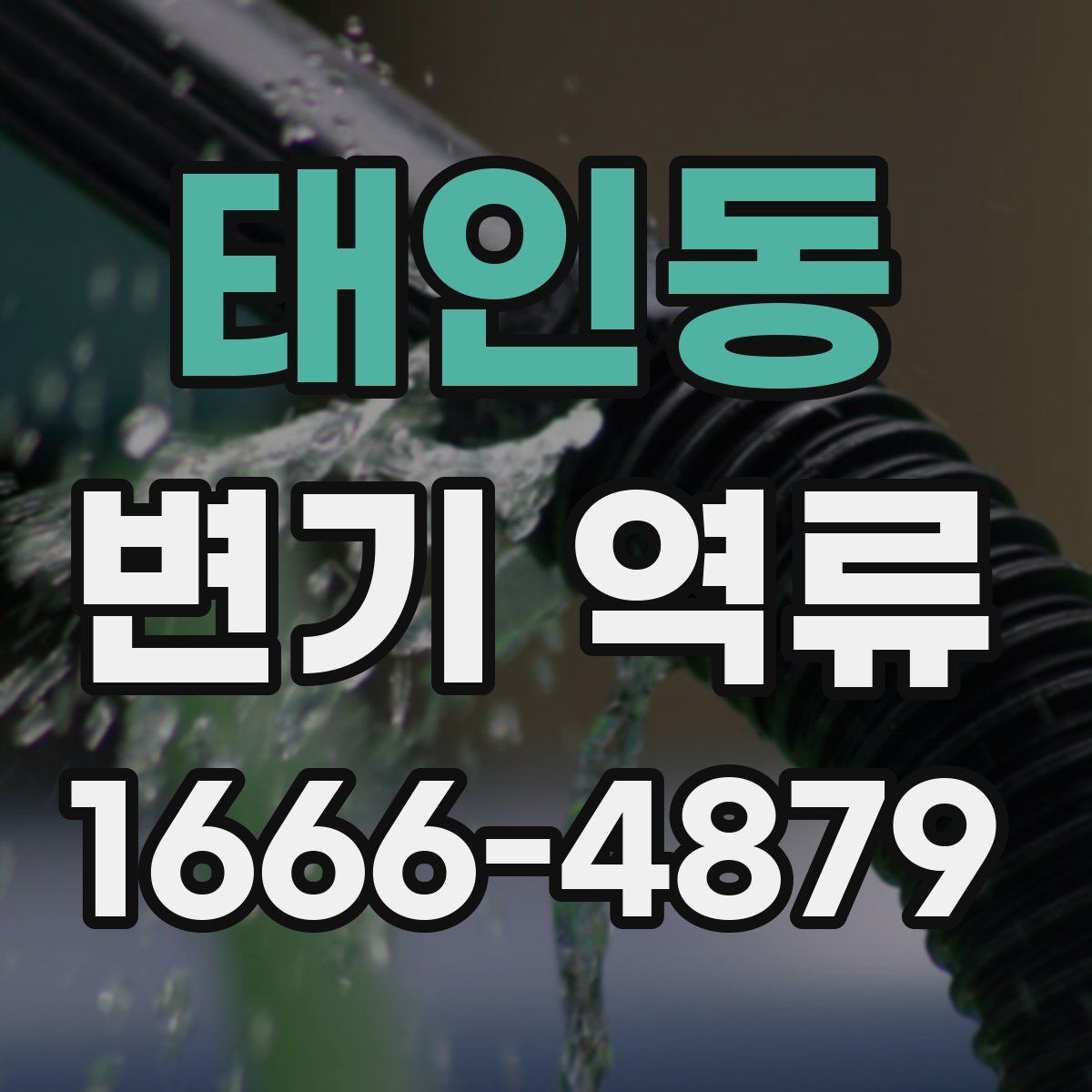 태인동 변기 역류