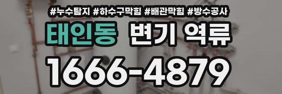 태인동 변기 역류