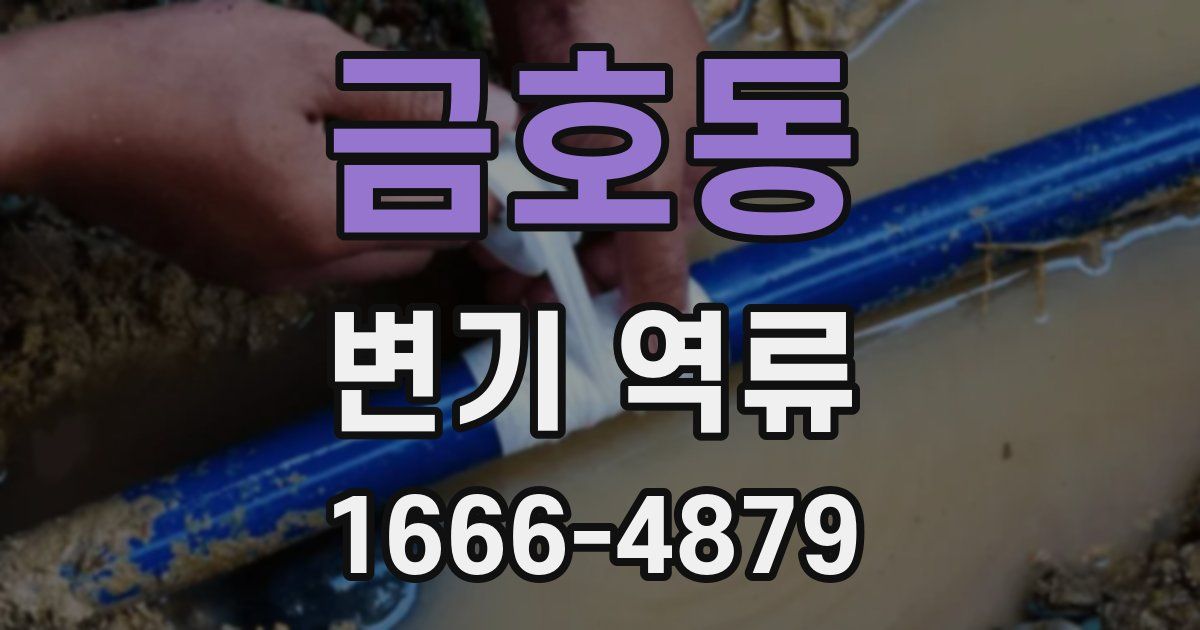 금호동 변기 역류