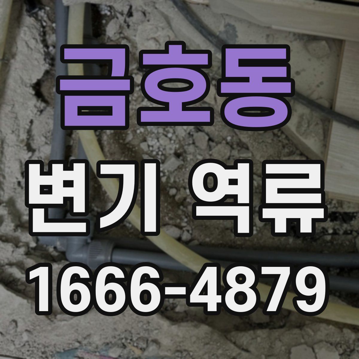 금호동 변기 역류