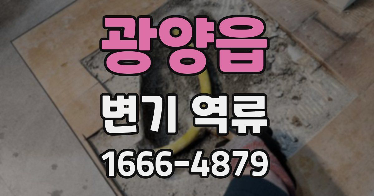 광양읍 변기 역류