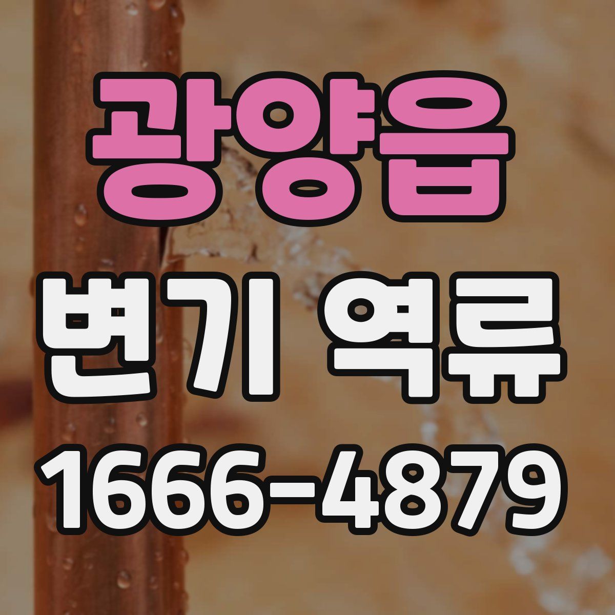 광양읍 변기 역류