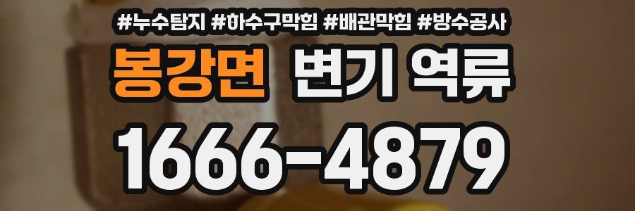 봉강면 변기 역류
