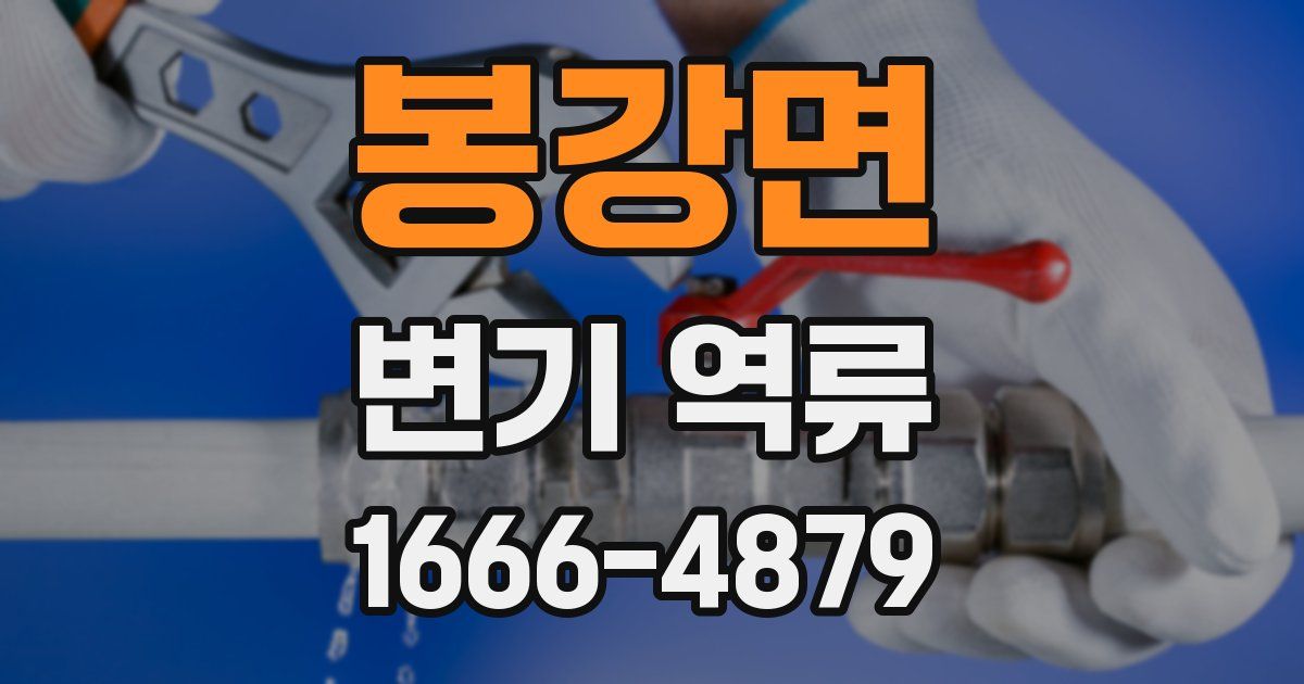 봉강면 변기 역류