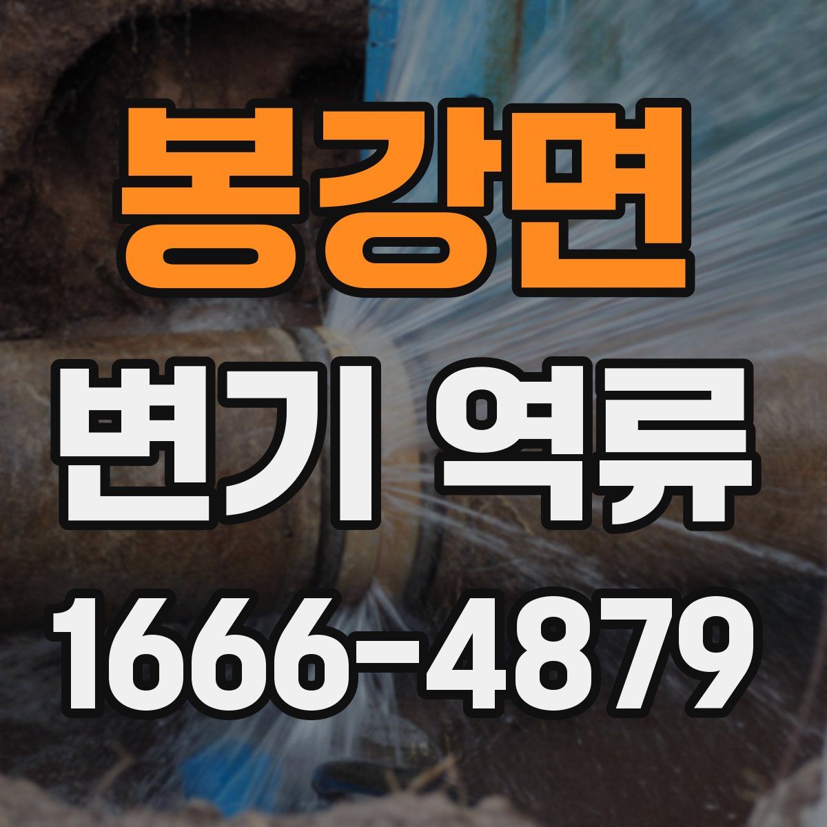 봉강면 변기 역류