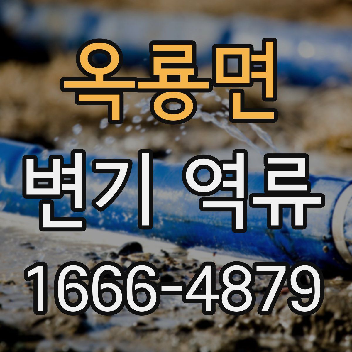 옥룡면 변기 역류