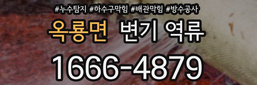 옥룡면 변기 역류