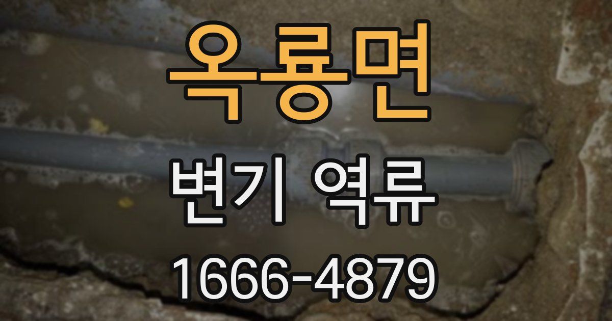옥룡면 변기 역류