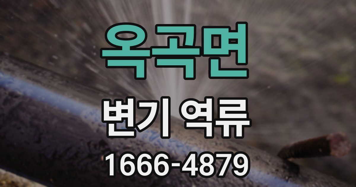 옥곡면 변기 역류
