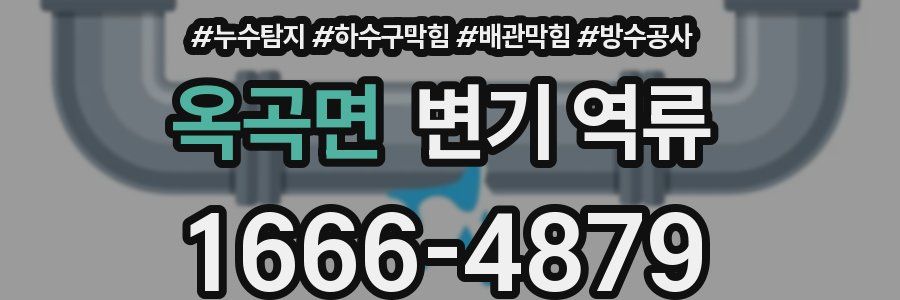 옥곡면 변기 역류