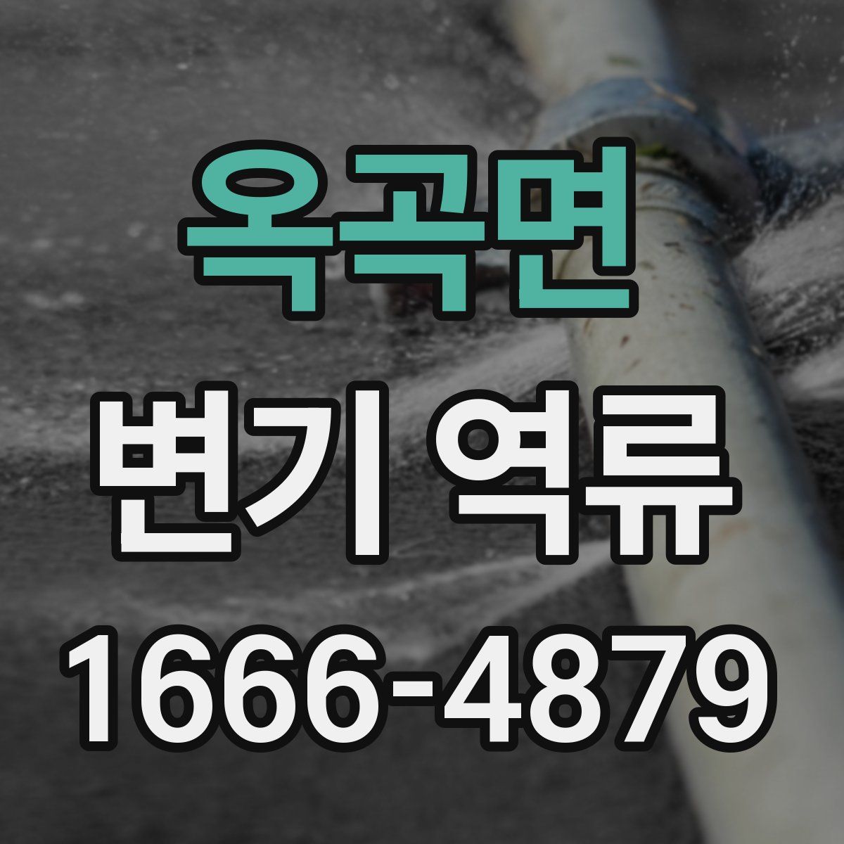 옥곡면 변기 역류