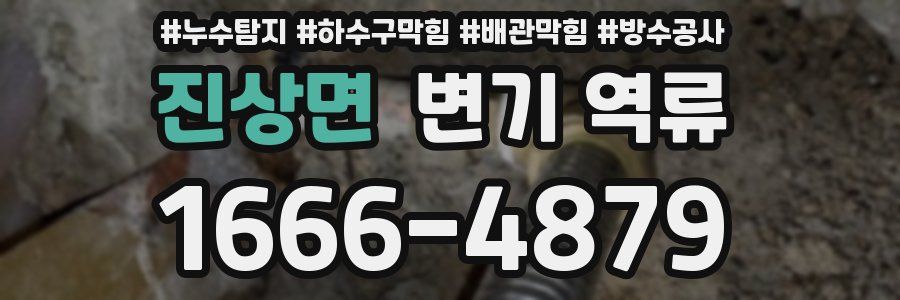 진상면 변기 역류