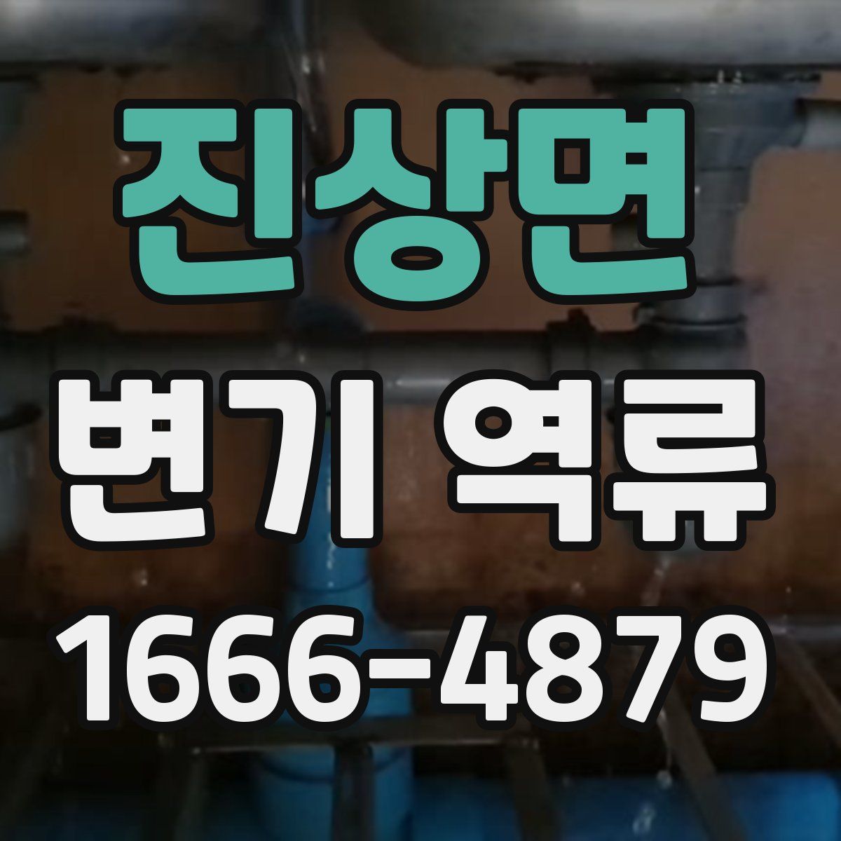 진상면 변기 역류