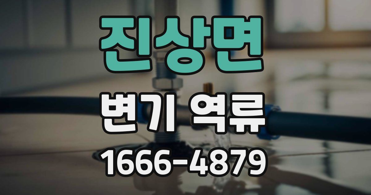 진상면 변기 역류
