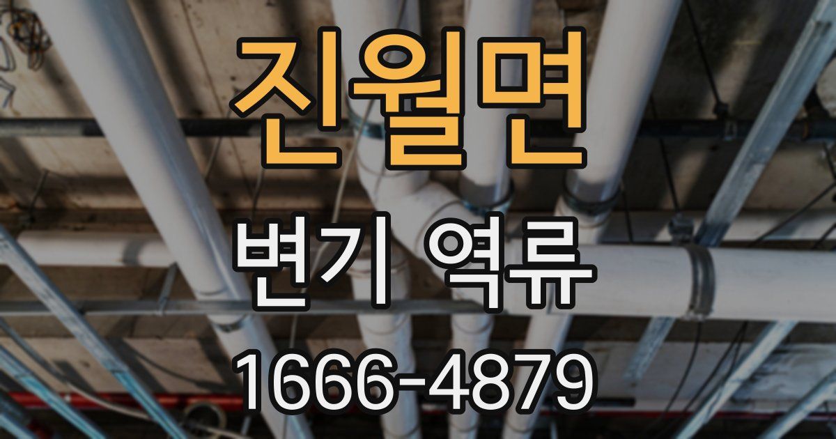 진월면 변기 역류