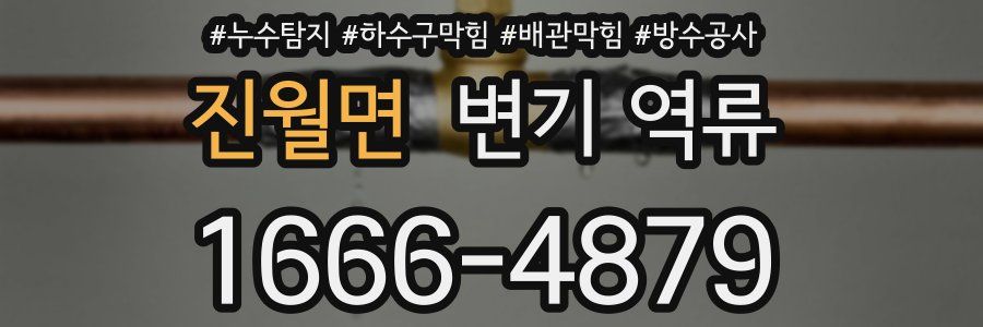 진월면 변기 역류