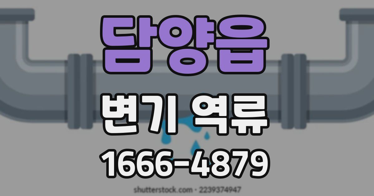 담양읍 변기 역류