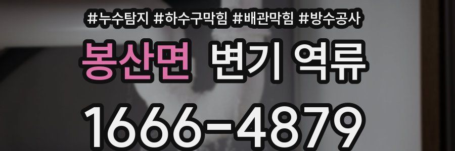 봉산면 변기 역류