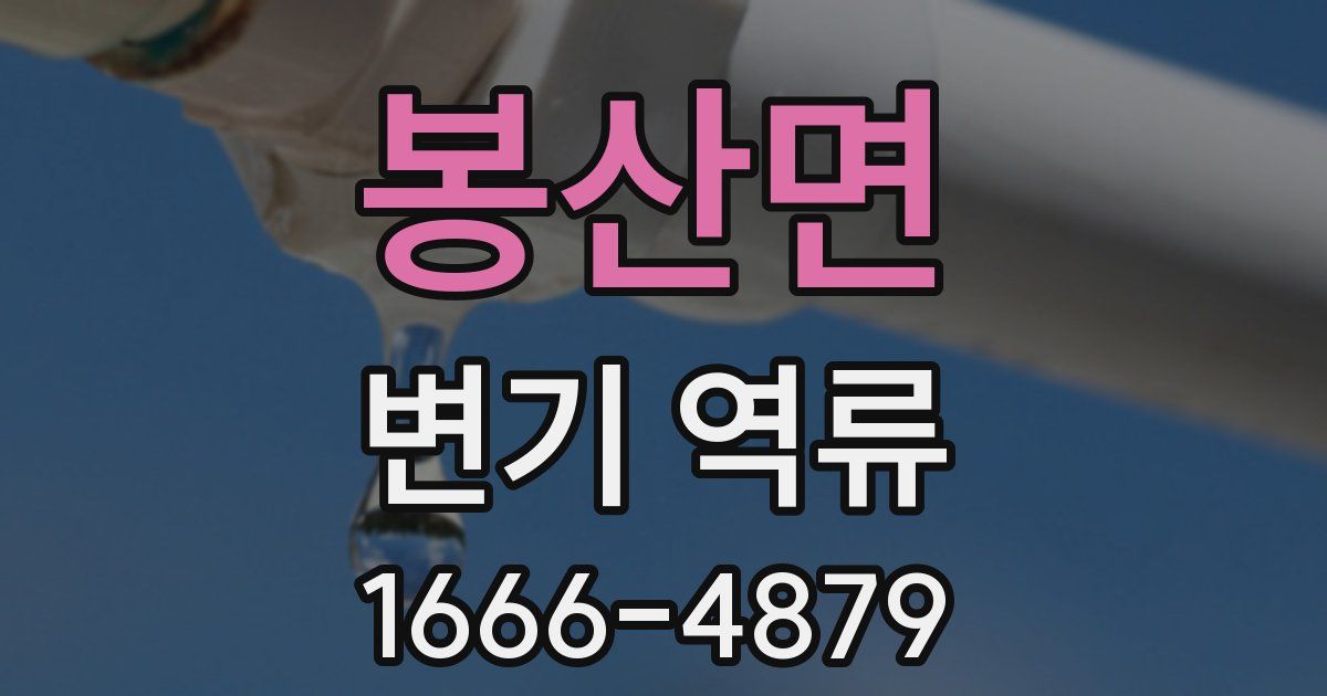 봉산면 변기 역류