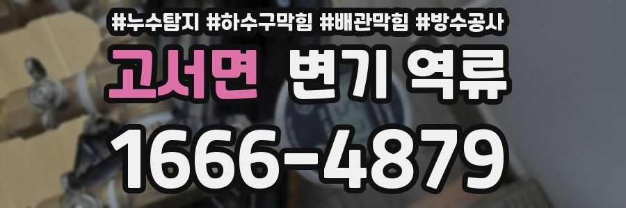 고서면 변기 역류