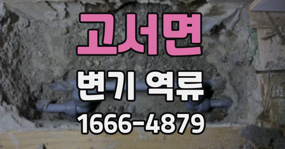 고서면 변기 역류