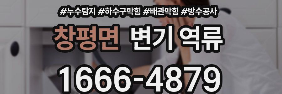창평면 변기 역류