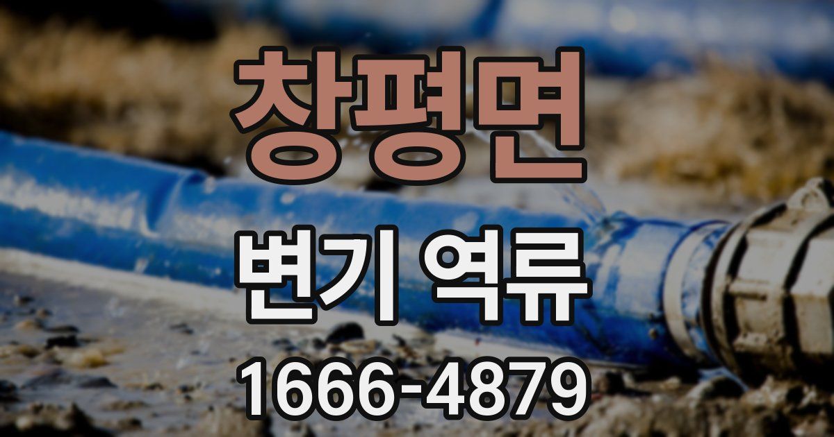 창평면 변기 역류