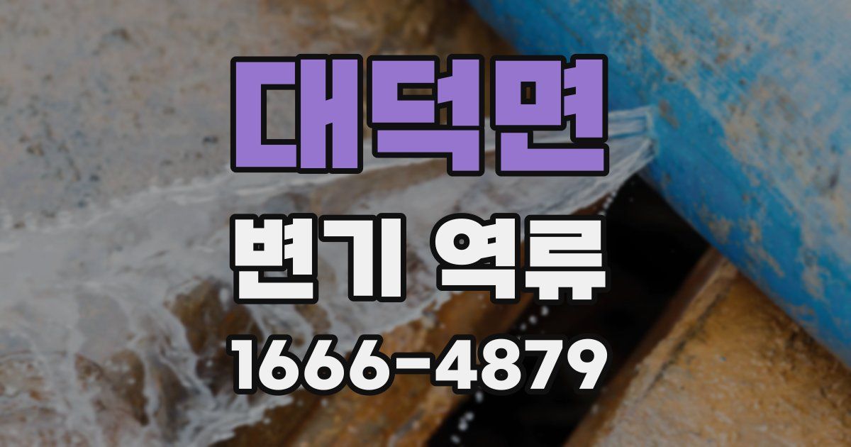 대덕면 변기 역류