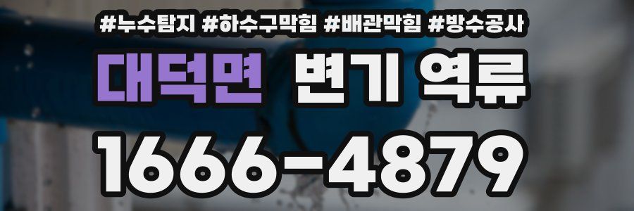 대덕면 변기 역류