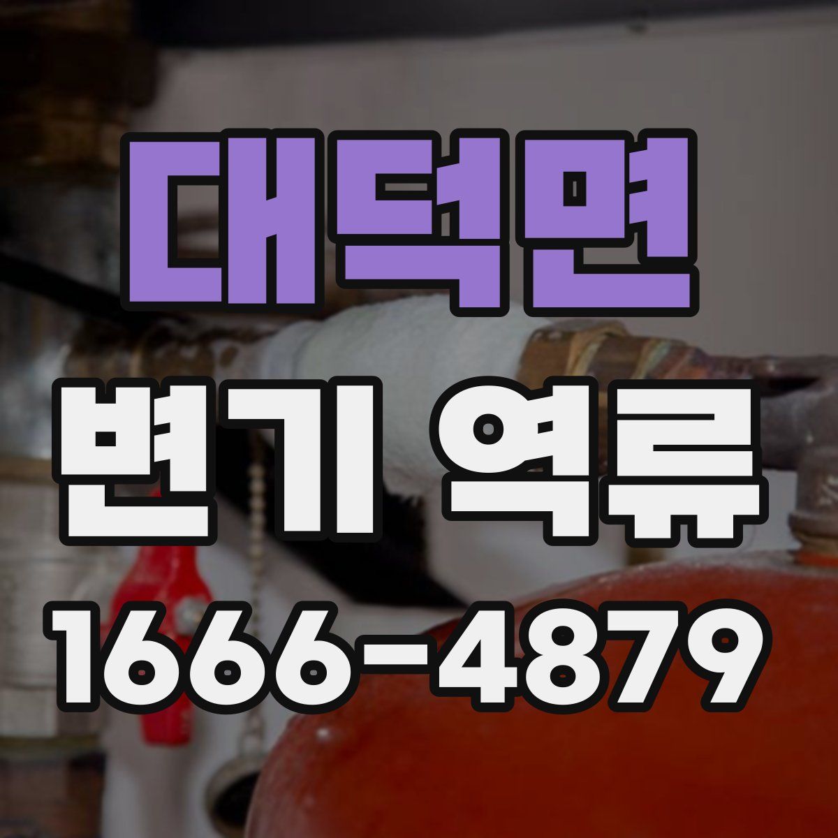 대덕면 변기 역류