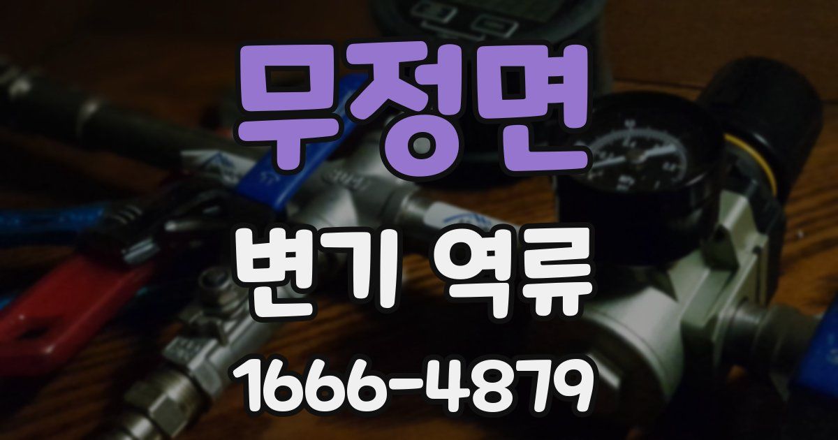무정면 변기 역류